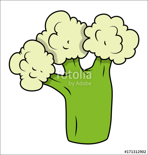 477x500 Cauliflower Vector Stock Image And Royalty Free Vector Files On