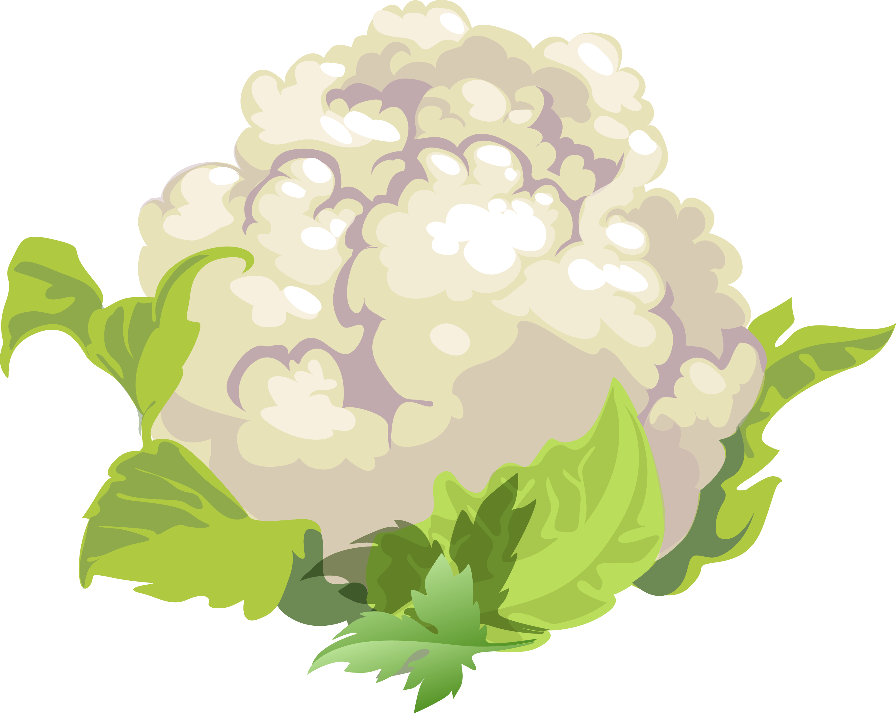2986x2377 Grape Vegetable Fruit Cauliflower