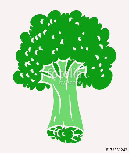 423x500 Green Cauliflower Vector Stock Image And Royalty Free Vector