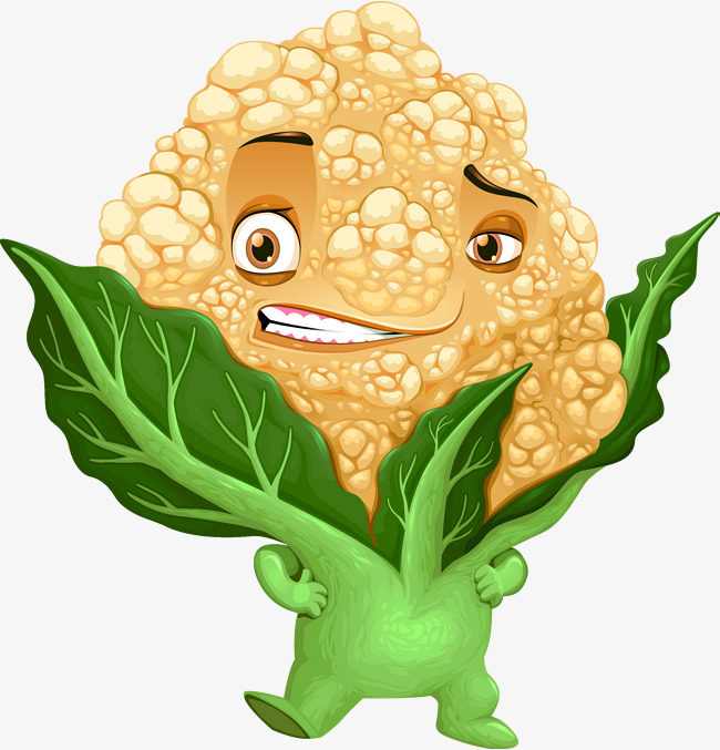 650x677 Vector Hand Painted Cauliflower, Vector, Hand Painted, Cartoon Png
