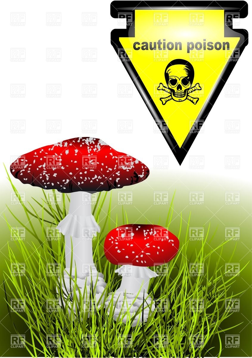 846x1200 Poisonous Mushrooms