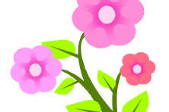 343x228 Flower Vector Image