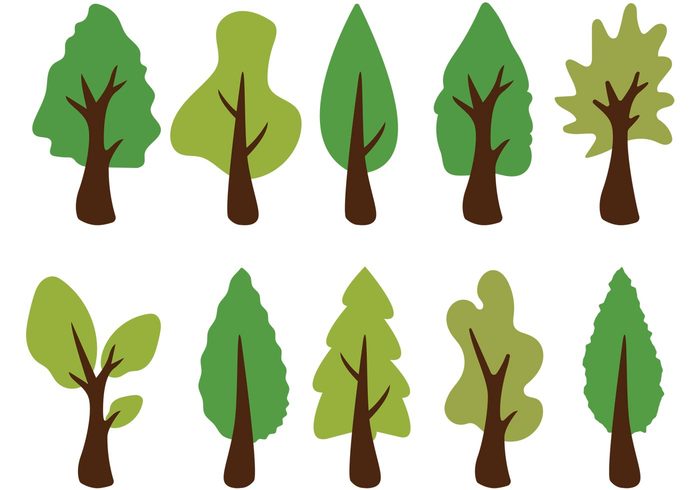 700x490 Cedar Tree Vectors 115569