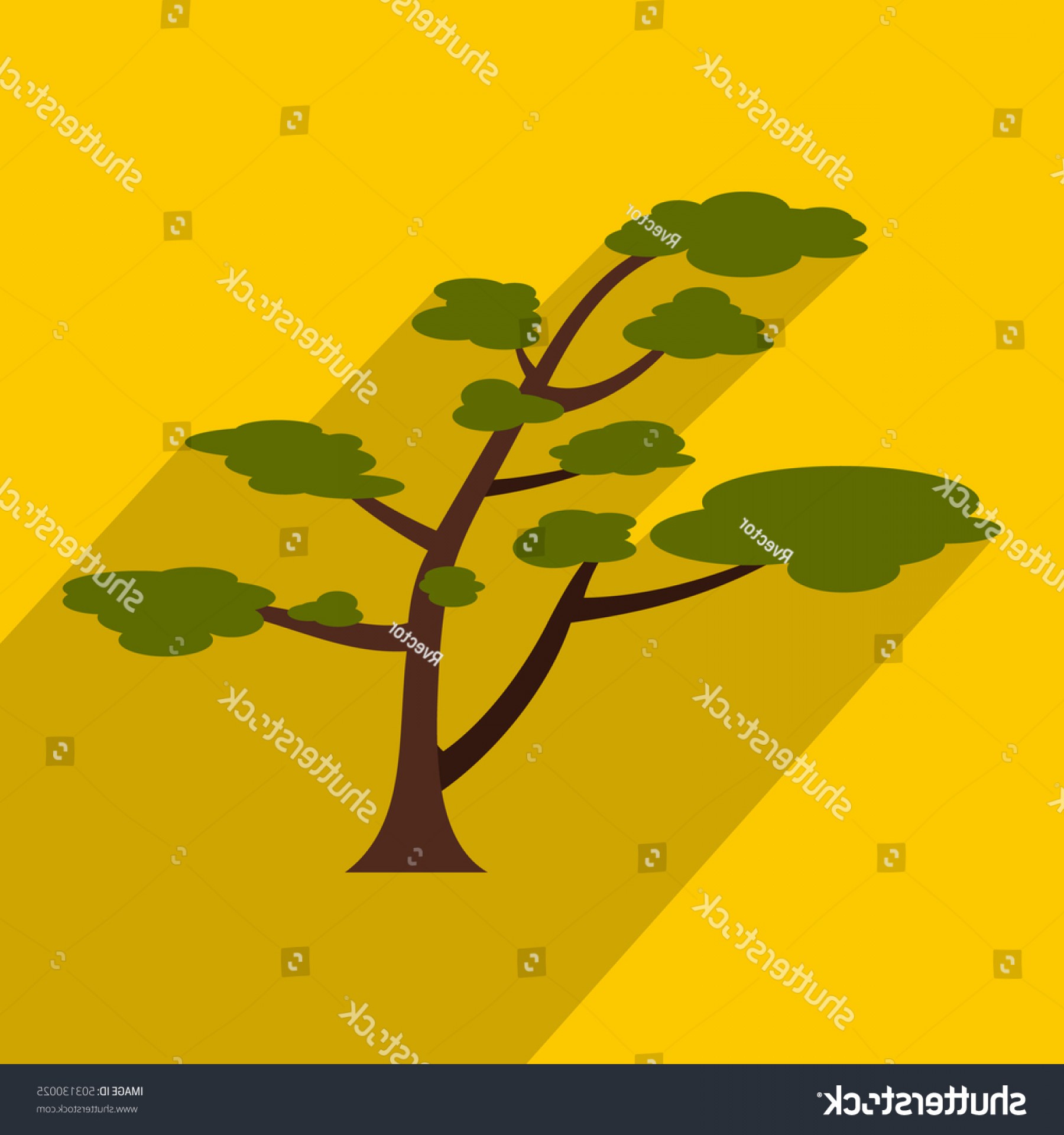 1800x1920 Cedar Tree Icon Flat Illustration Vector Orangiausa