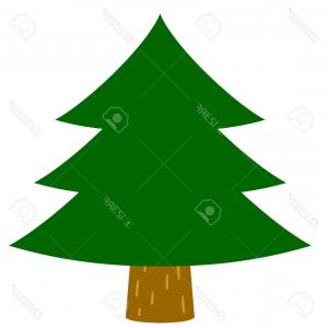 300x300 Photostock Vector Cedar Trees Fir Tree Rongholland