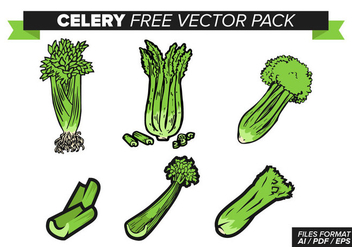 352x247 Celery Vector Free Vector Download 364625 Cannypic