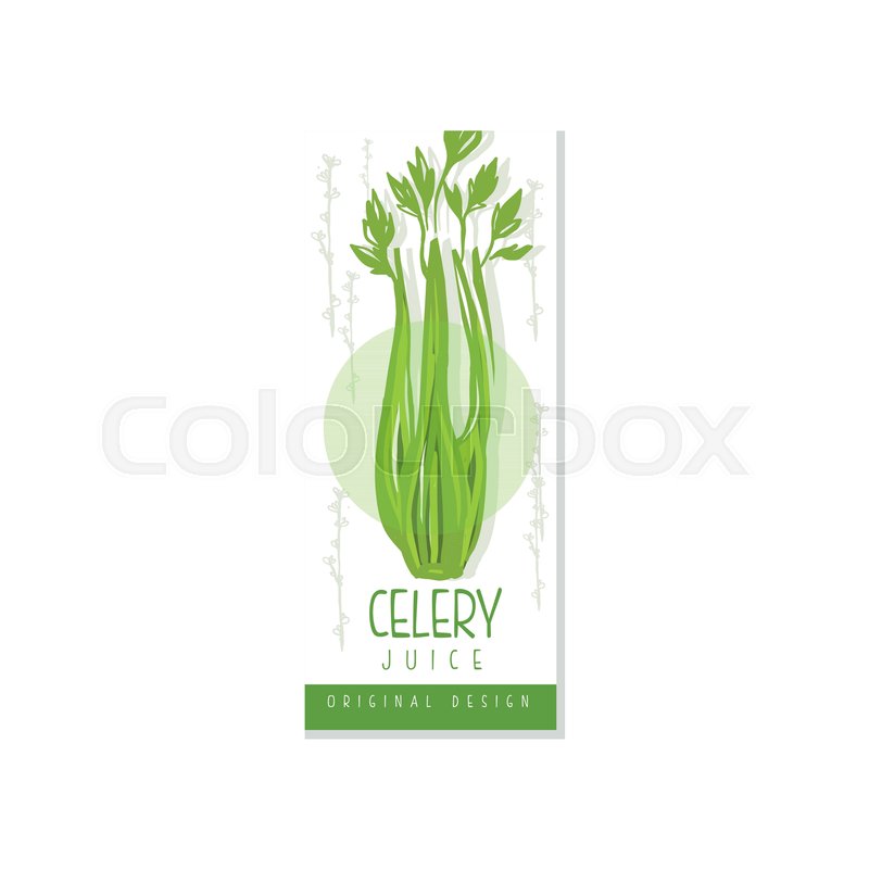 800x800 Colorful Vertical Card Or Banner With Green Celery. Vegetable