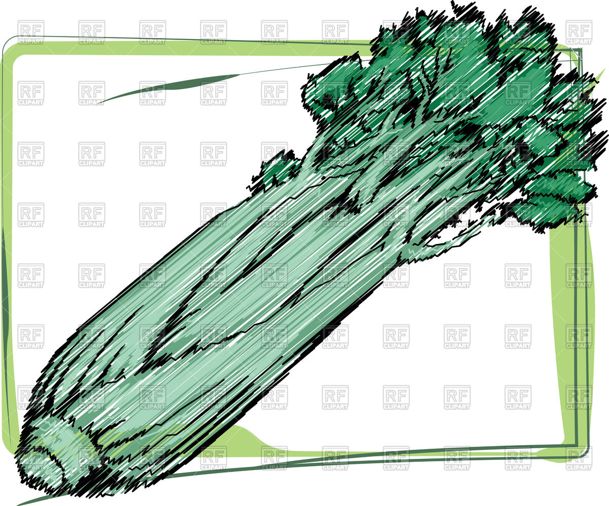 1200x998 Organic Celery Illustration Vector Image Vector Artwork Of Food