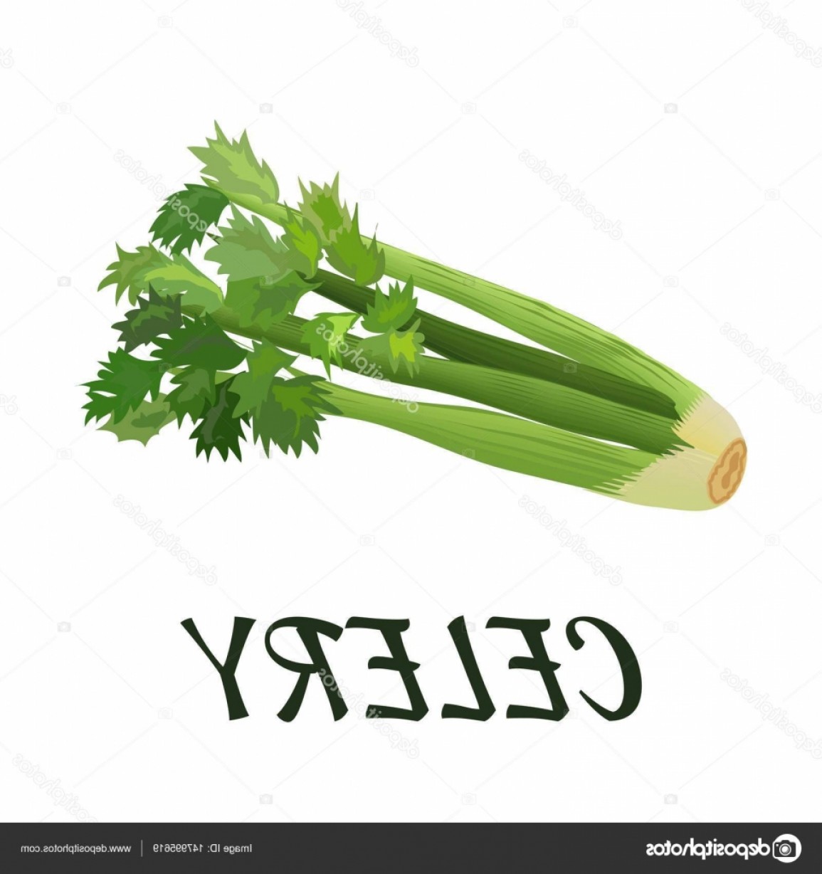 1155x1228 Stock Illustration Celery Flat Design Vector Illustration Arenawp