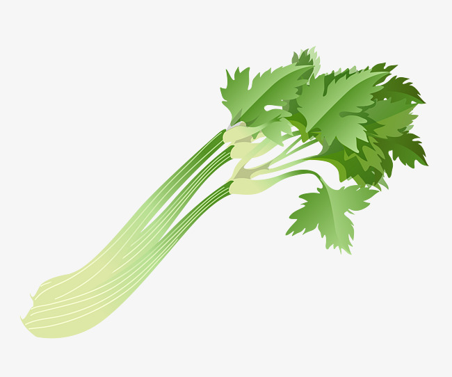 650x542 Vector Celery Leaves, Vector, Pattern, Green Vegetables Png And
