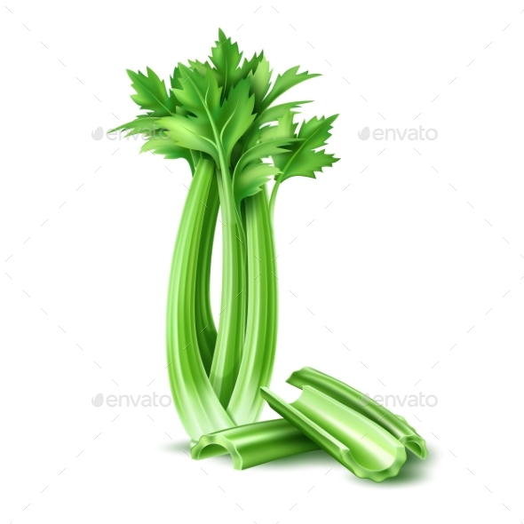 590x590 Vector Realistic Celery Salad Leaves By Iwhitewings Graphicriver