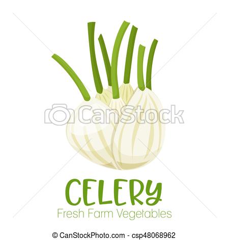 450x470 Vector Celery Isolated On White Background.vegetable Illustration