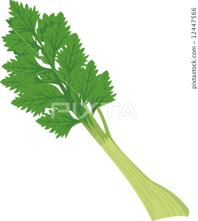 403x450 Celery, Vector, Vectors