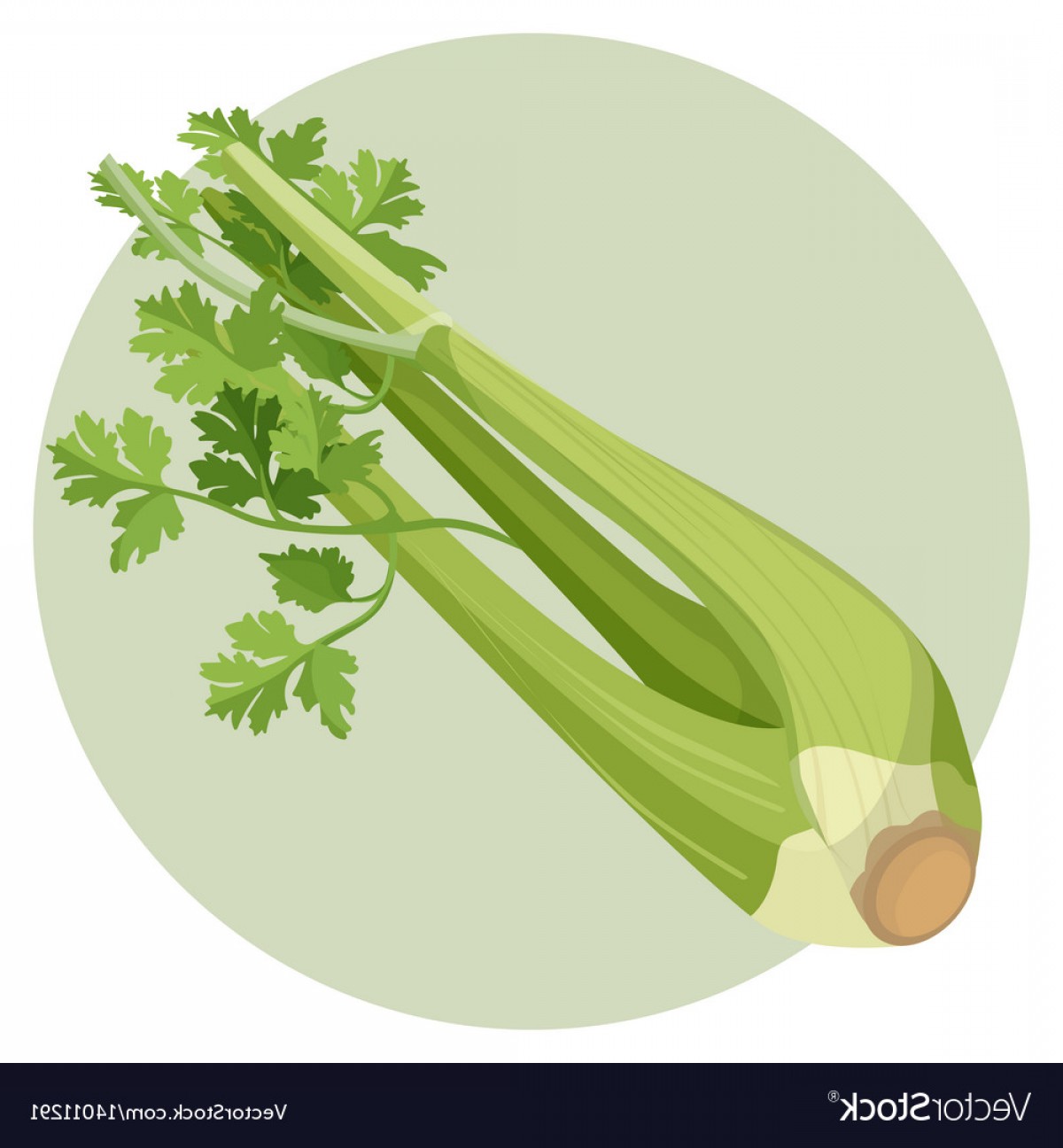 1200x1296 Celery Green And Fresh Isolated In Circle On White Vector Arenawp