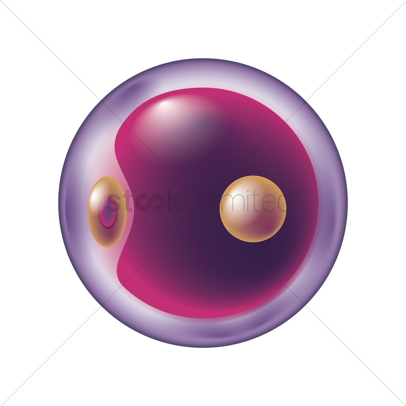 1300x1300 Stem Cell Vector Image