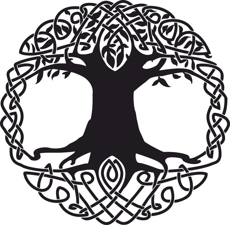 800x784 Celtic Tree Tattoo Design Free Vector Download