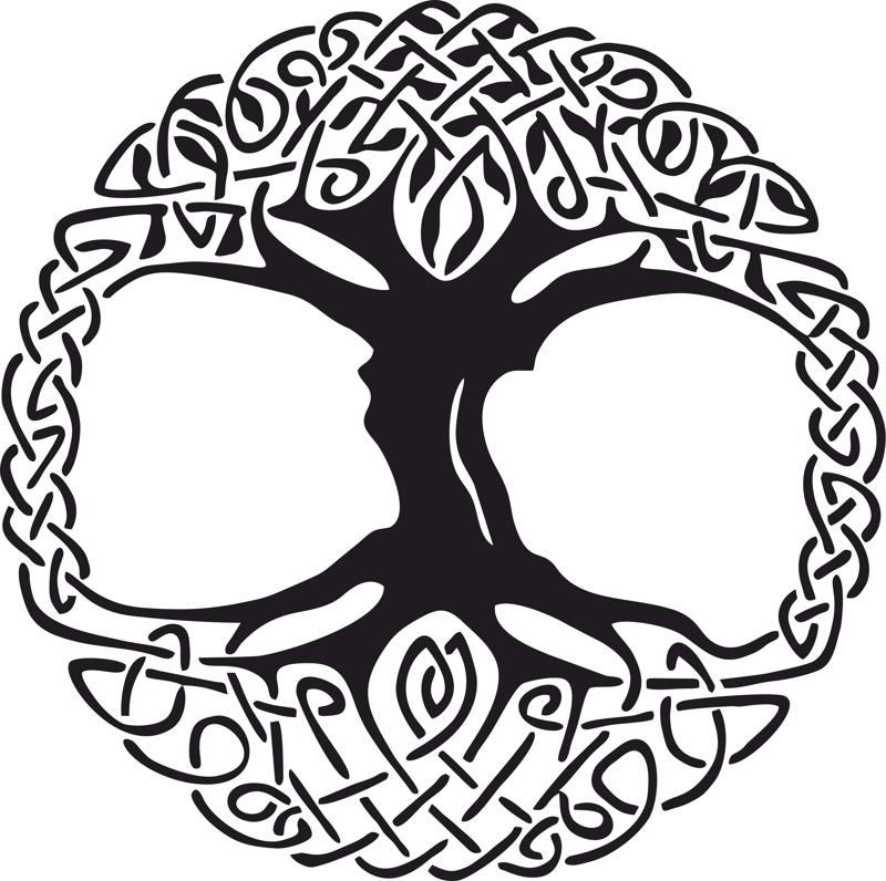 800x796 Celtic Tree Of Life Vinyl Window Sticker Vector Free Vector