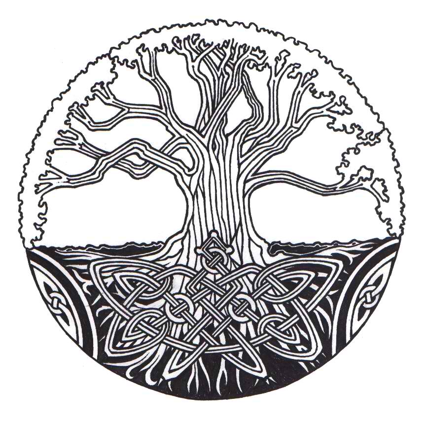 862x862 Coaching Model The Celtic Tree Of Life