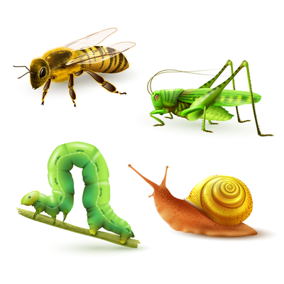 400x400 Centipede On Curated Vector Illustrations, Stock Royalty Free