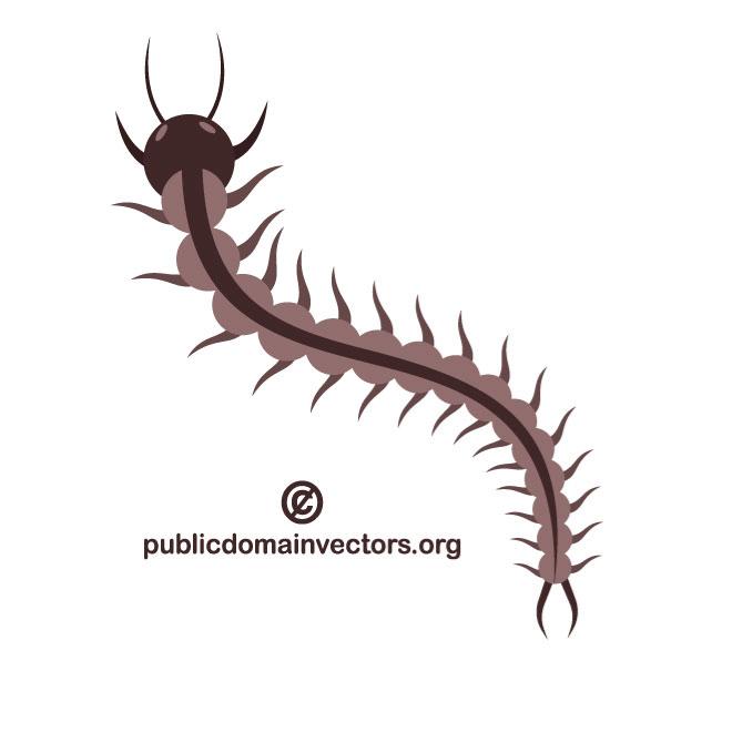 660x660 Collection Of Free Centiped Clipart Vector. Download On Ubisafe