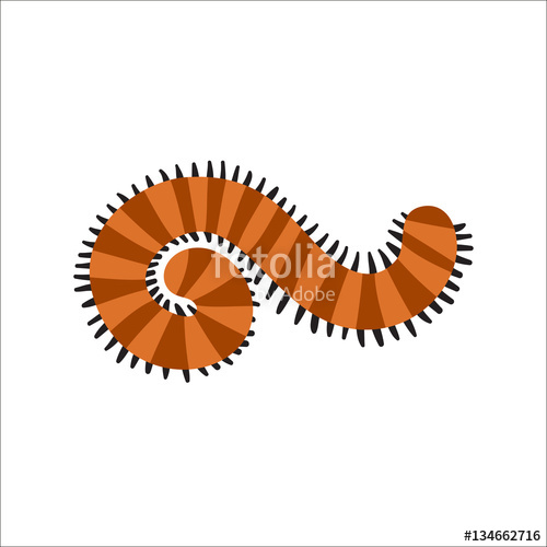 500x500 Cute Centipede Animal Cartoon Character Vector. Stock Image And