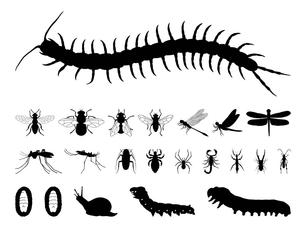 1024x765 Insects Silhouettes Set Vector Art Amp Graphics