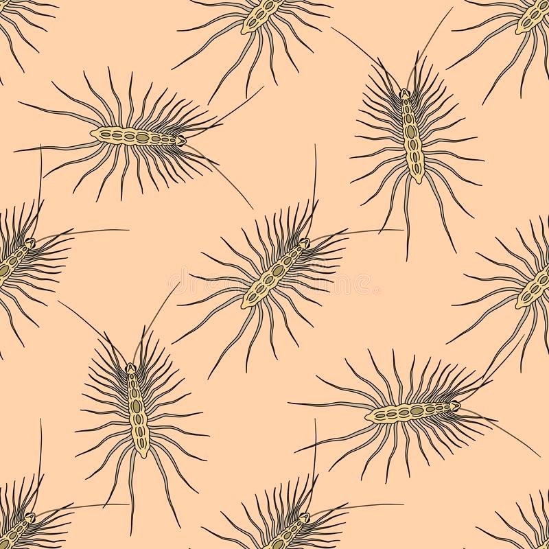 800x800 Millipede In The House Download Seamless Pattern With Millipede