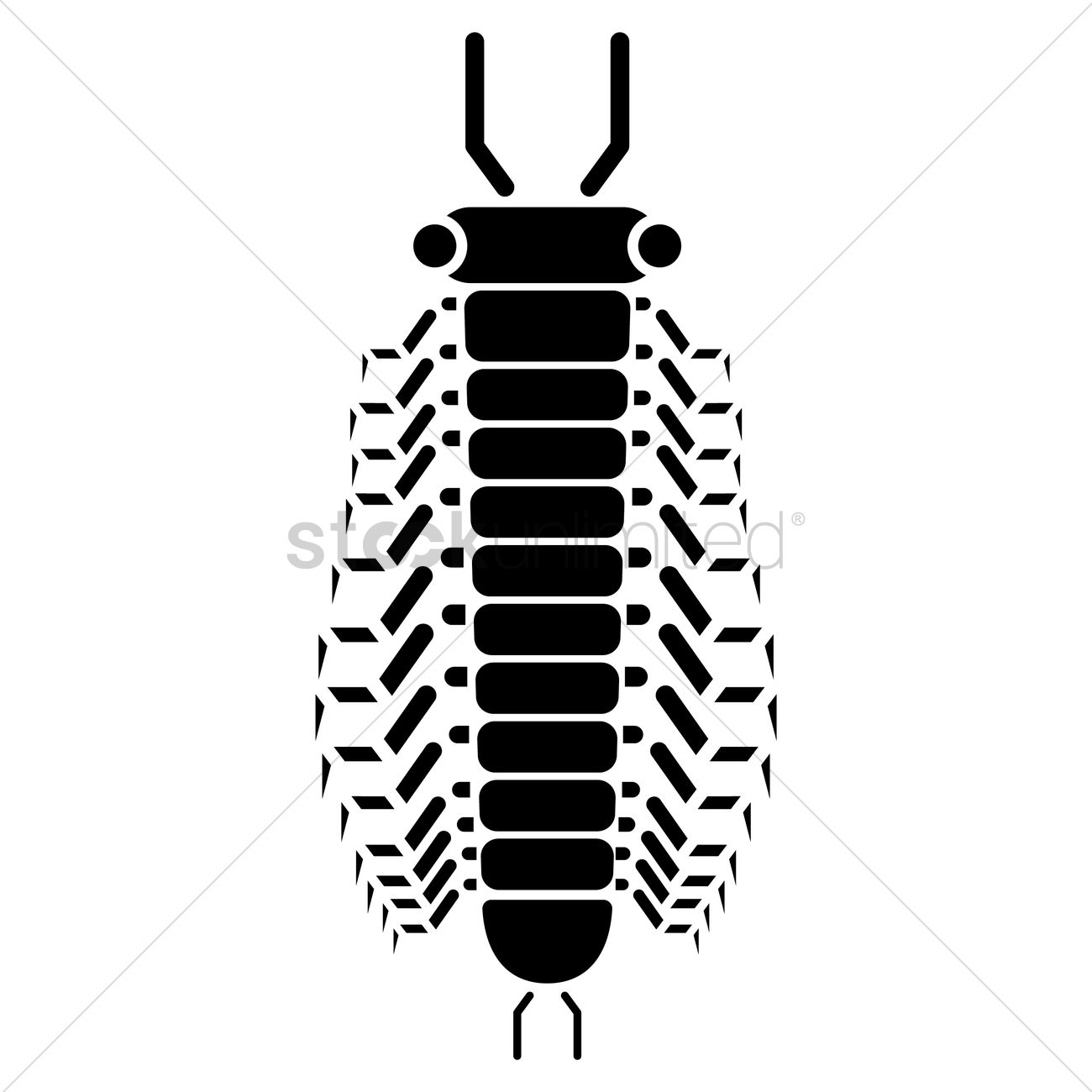 1300x1300 Silhouette Of Centipede Vector Image