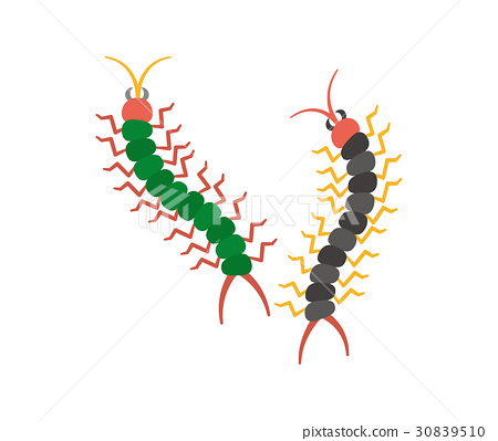 450x399 Centipede, Vector, Vectors