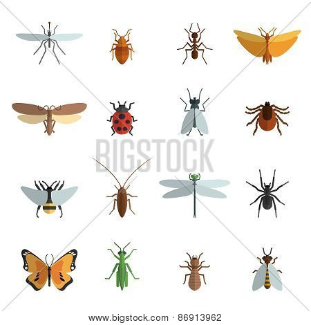 450x470 Centipede Vector Stock Photos, Royalty Free Centipede Vector