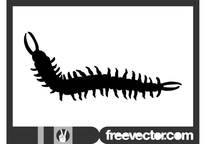 700x490 Centipede Free Vector Art