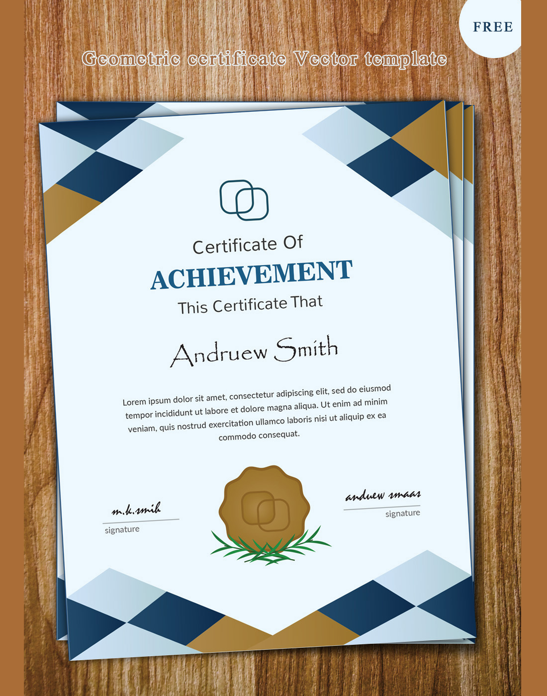 1100x1400 Certificate Vector Templates