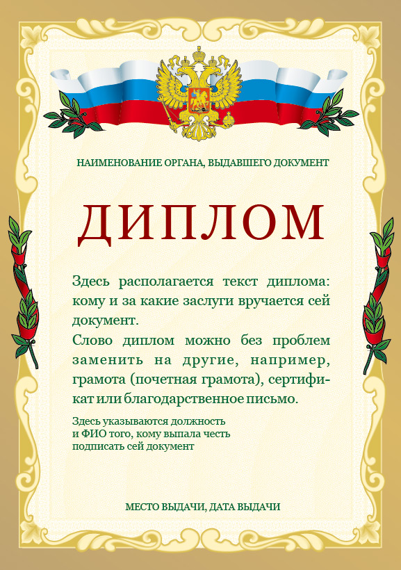 577x820 Certificate Vector Free Download Free Download