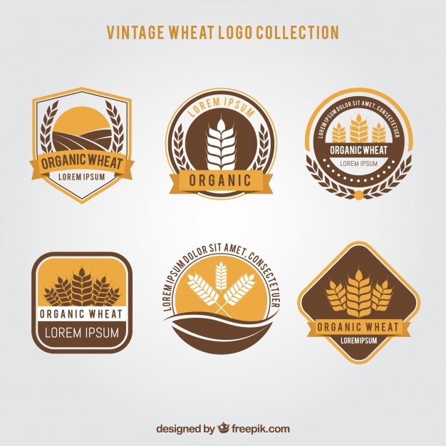 626x626 Wheat Logo Vectors, Photos And Psd Files Free Download