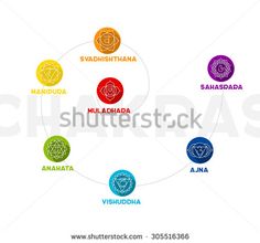 236x220 Vector Illustration Of Color Chakra Watercolor Design The Seven