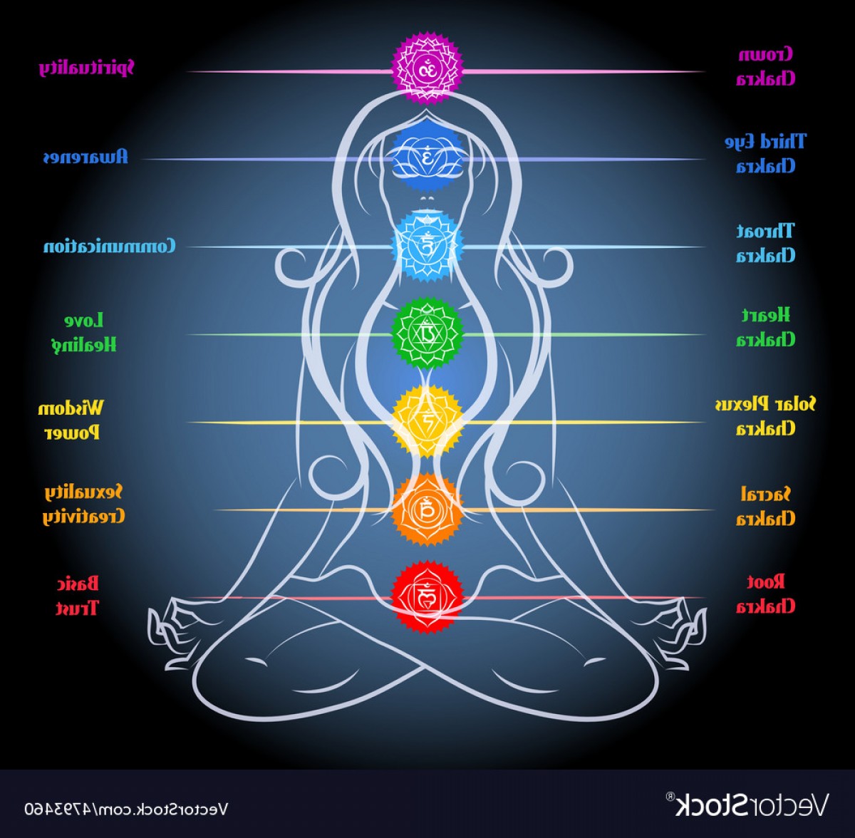 Chakras Vector at GetDrawings | Free download