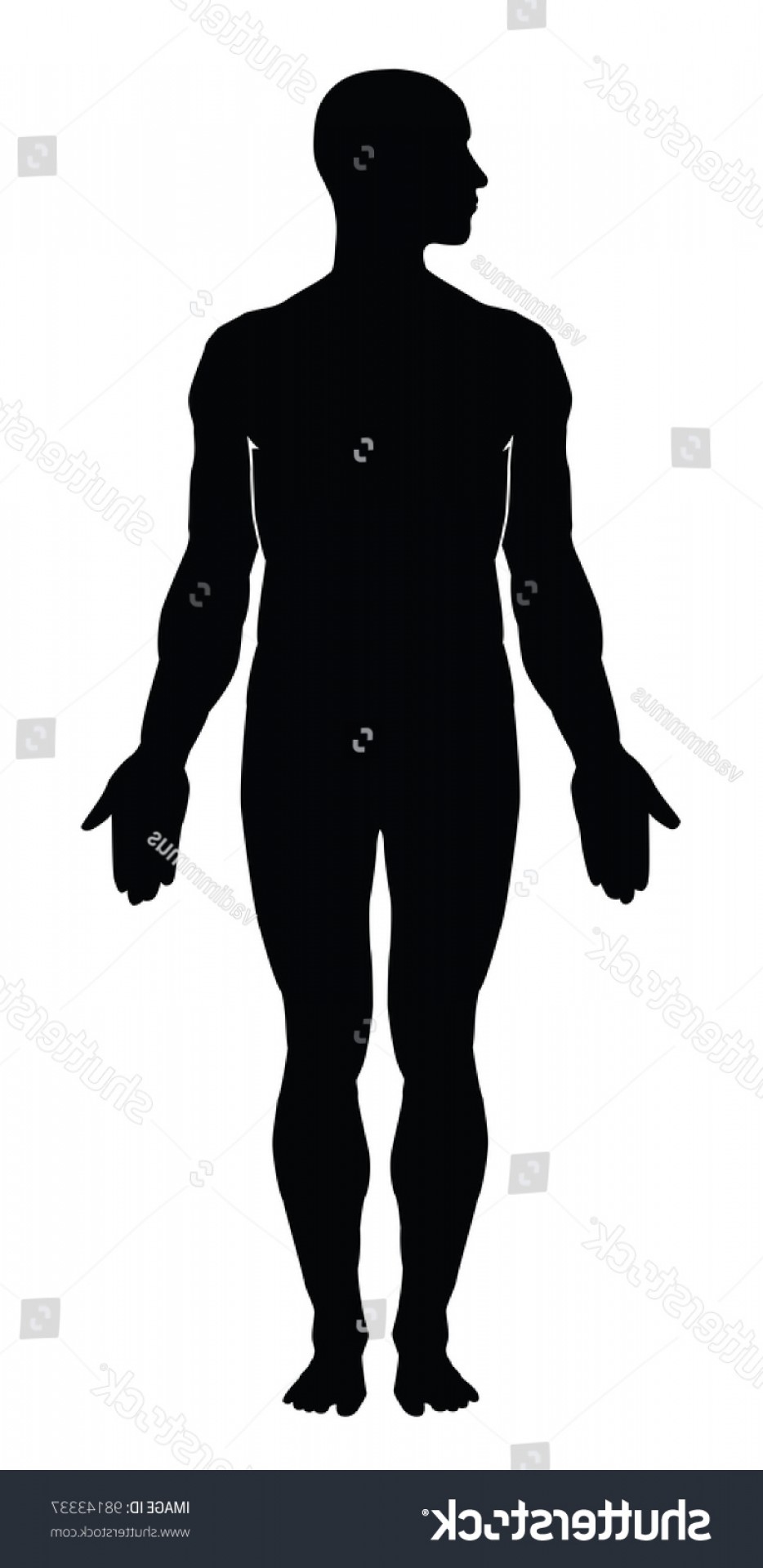 934x1920 Human Body Outline Vector Illustration Orangiausa