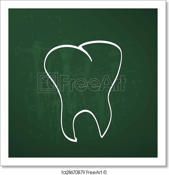 561x581 Free Art Print Of Tooth Anatomy Chalk Painted On The Chalkboard