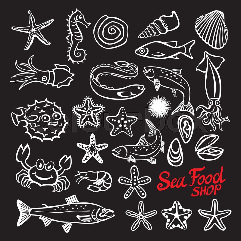 800x800 Vector Vintage Seafood Restaurant Illustration. Hand Drawn