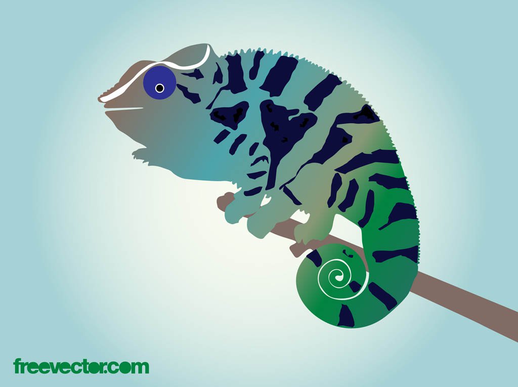 1024x765 Chameleon Vector Vector Art Amp Graphics