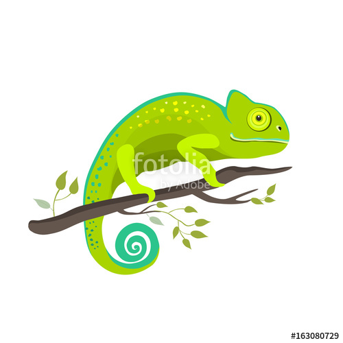500x500 Chameleon Icon. Cartoon Illustration Of Walking Chameleon Vector