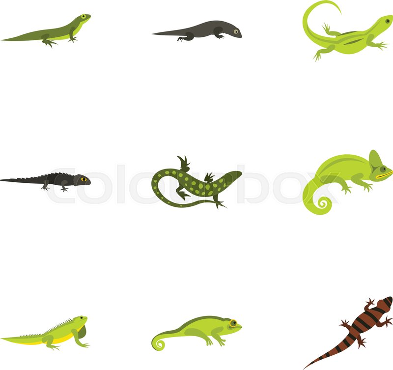 800x753 Chameleon Icons Set. Flat Illustration Of 9 Chameleon Vector Icons