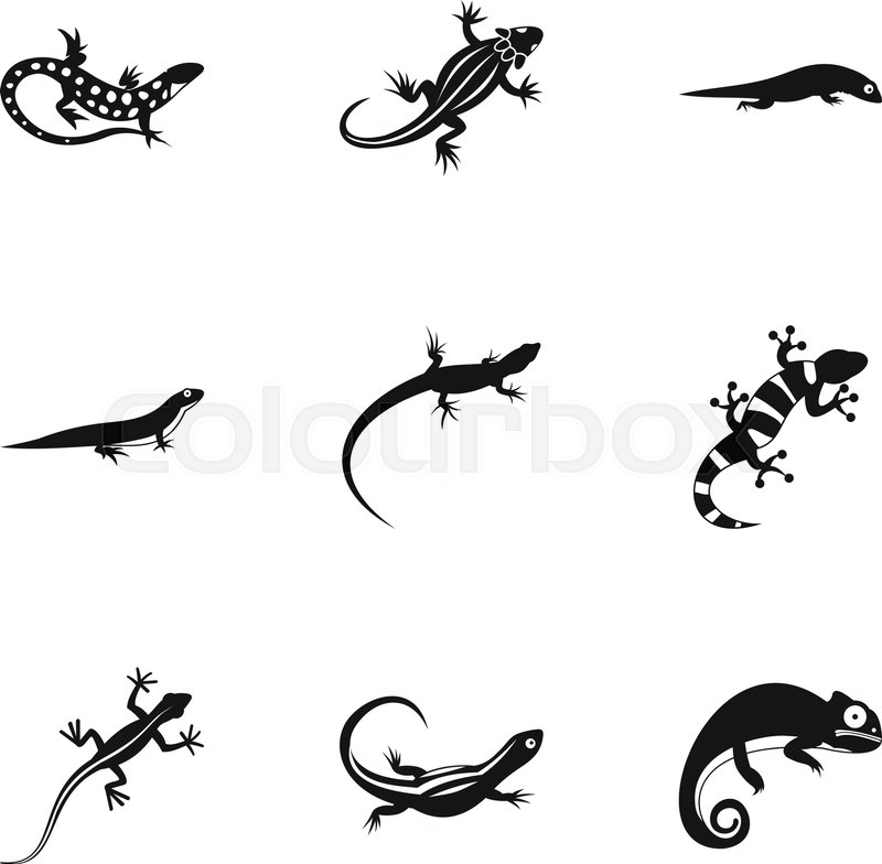 800x784 Chameleon Icons Set. Simple Illustration Of 9 Chameleon Vector