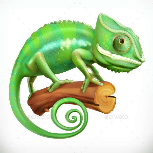 590x590 Chameleon. Vector Icon By Allevinatis Graphicriver