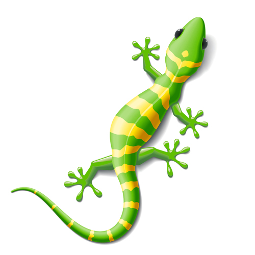500x500 Set Of Vivid Cute Chameleon Vector 01 Free Download