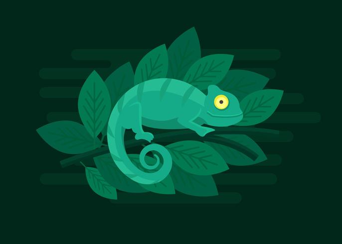 686x490 Chameleon Vector Illustration