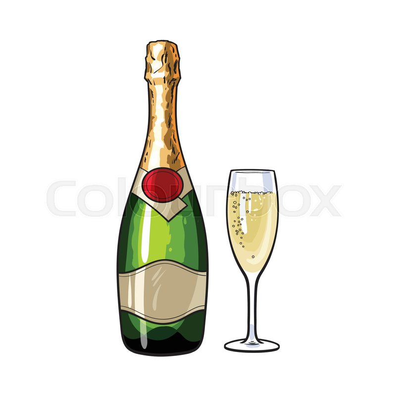 800x800 Champagne Bottle And Glass, Sketch Style Vector Illustrations