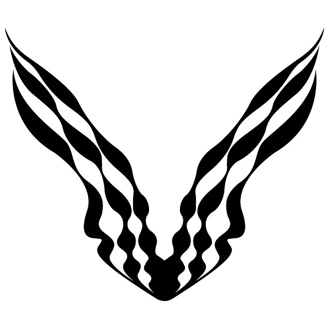 660x660 Checkered Vector