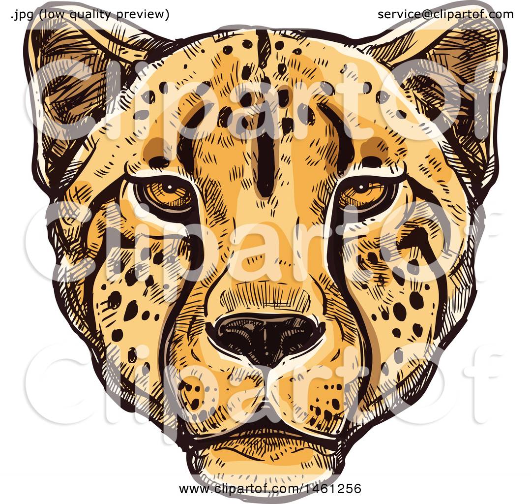 1080x1024 Clipart Of A Sketched Cheetah Face