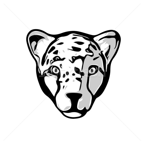 600x600 Head Of Cheetah Vector Illustration Yulia Buchatskaya (Unweit